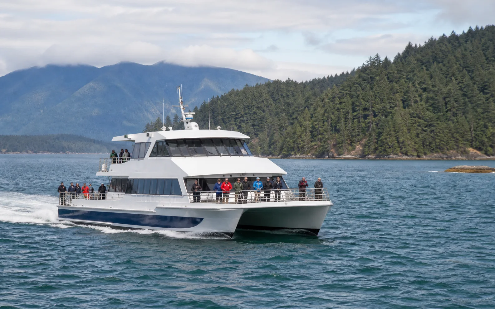 A whale-watching vessel underway in coastal waters